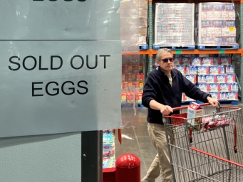全美“蛋荒”？美国农业部称今年蛋价或涨逾20%，特朗普政府如何应对