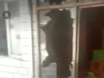 一条狗引发的“反杀”案