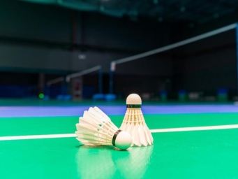 中国羽毛球大师赛进入决赛日 国羽向三项冠军发起冲击