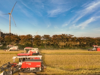 江苏盐城：抢收水稻 不误农时