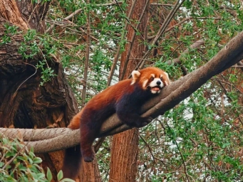 绿意盎然！上海最新绿色空间和趣味活动来啦