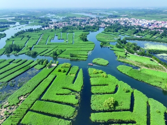 白洋淀水质稳居全国良好湖泊行列